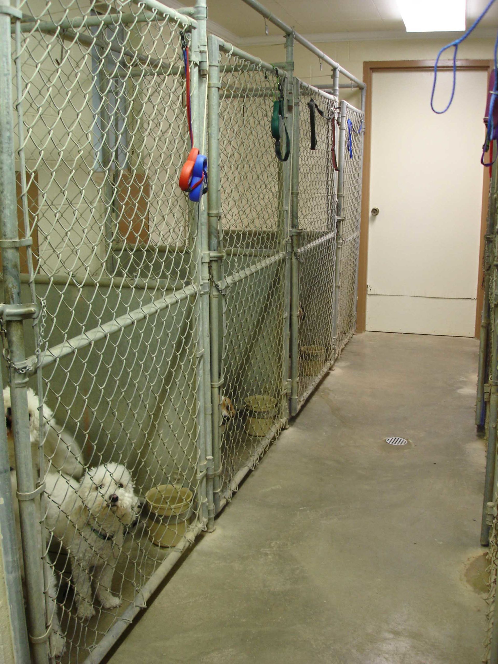Tour the Facility Busch's Kennel Cape Girardeau, MO